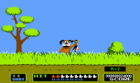 Duck Hunt